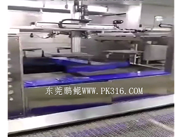 自动化喷涂设备