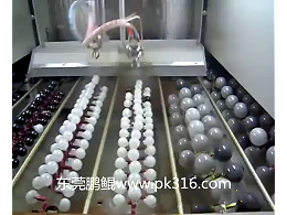 圣诞球专用全自动喷漆机