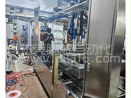 3枪8轴仿喷工机器人